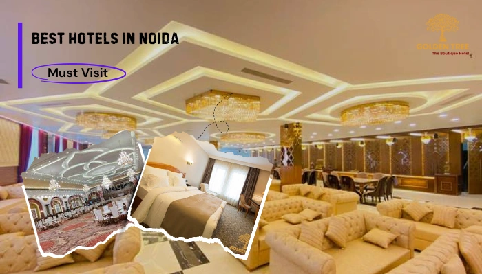 Which is the Best Luxurious and Affordable Hotel in Noida?