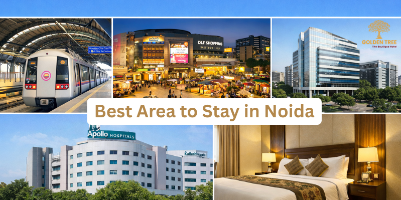 Why Noida Sector 31 Is the Best Area to Stay in Noida